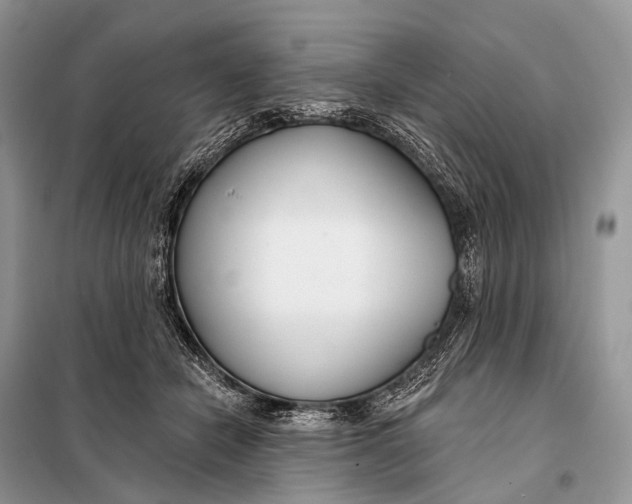 X0000098050462200804181328