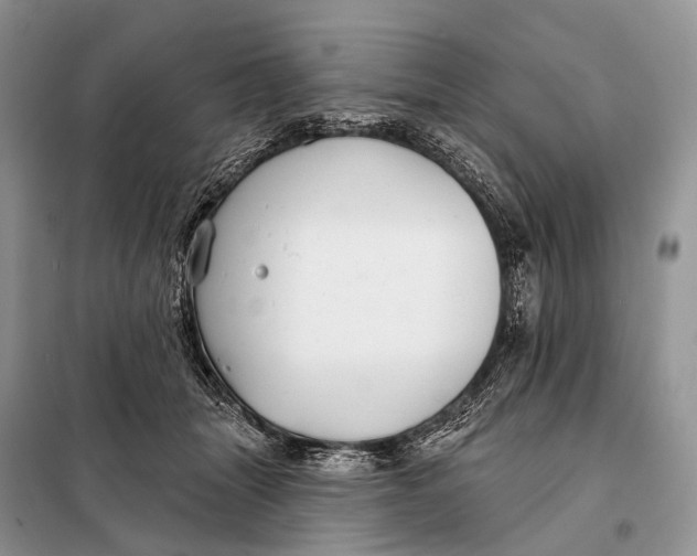 X0000098050463200804181328