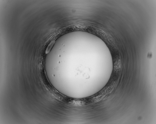 X0000098050464200804181328