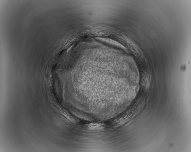 X0000098050465200804181328