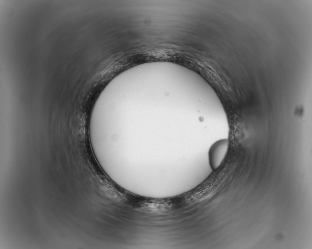 X0000098050466200804181328