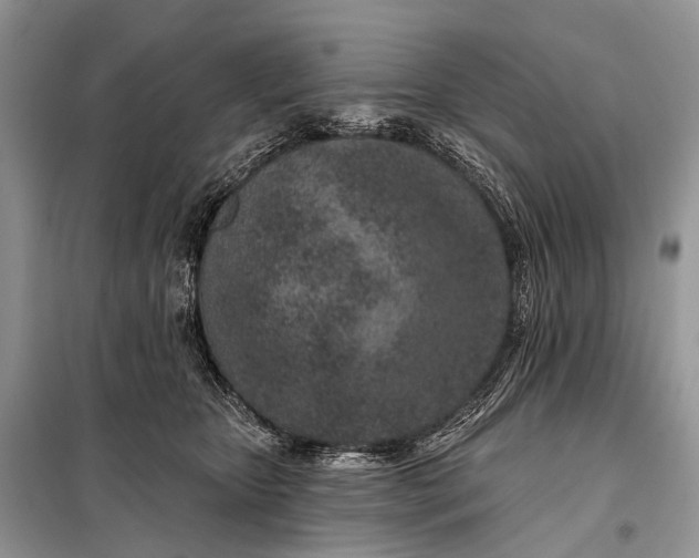 X0000098050467200804181328