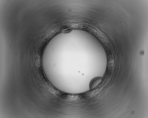 X0000098050469200804181328