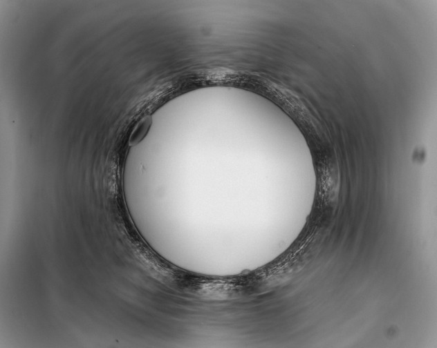 X0000098050470200804181328