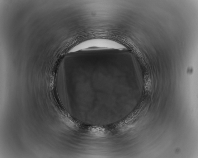 X0000098050471200804181328