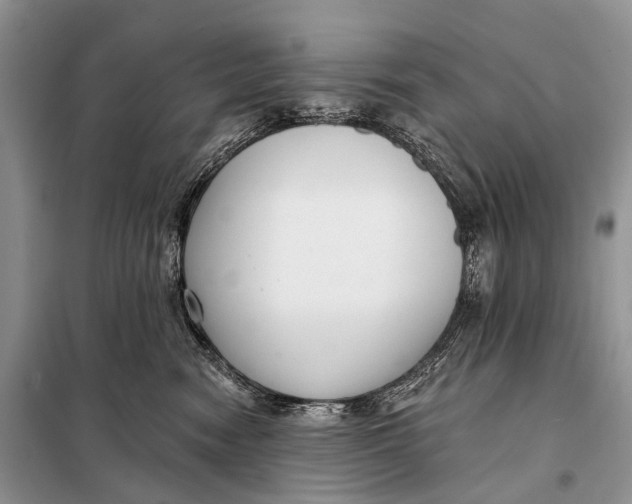 X0000098050474200804181328