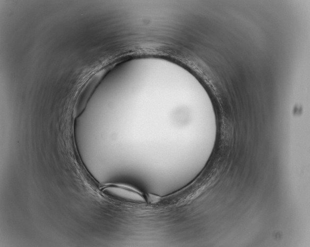 X0000098050481200804181328