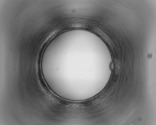 X0000098050482200804181328