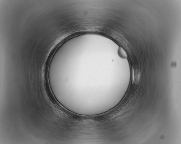 X0000098050483200804181328