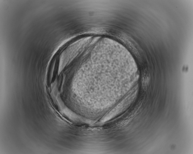 X0000098050484200804181328