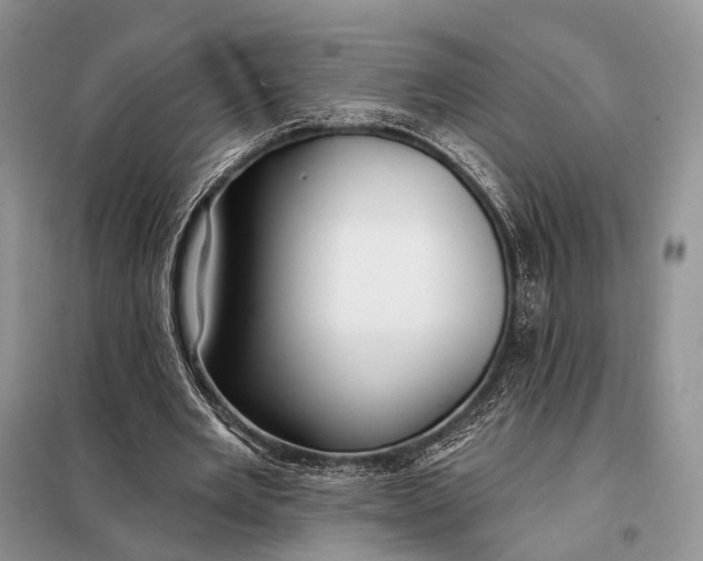 X0000098050485200804181328