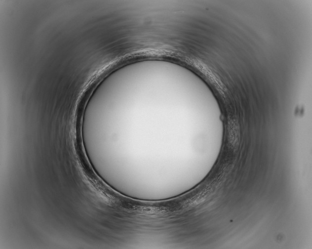 X0000098050486200804181327