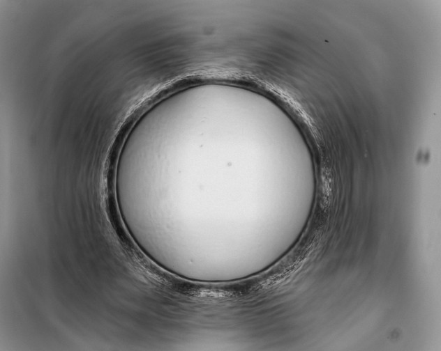 X0000098050487200804181327