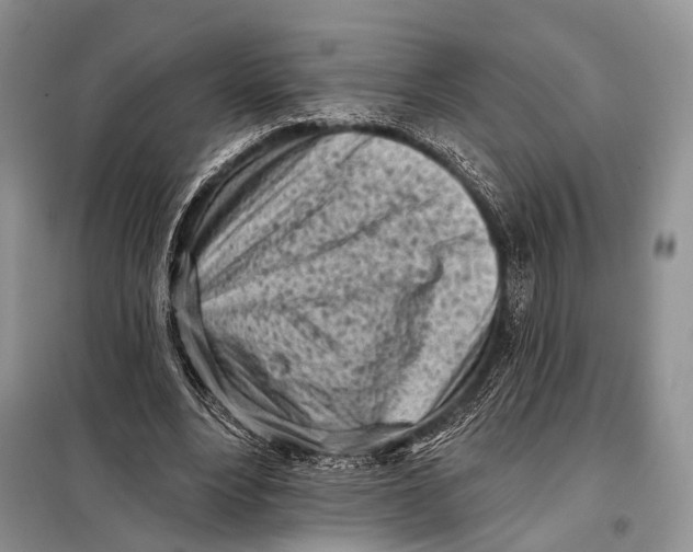 X0000098050488200804181327