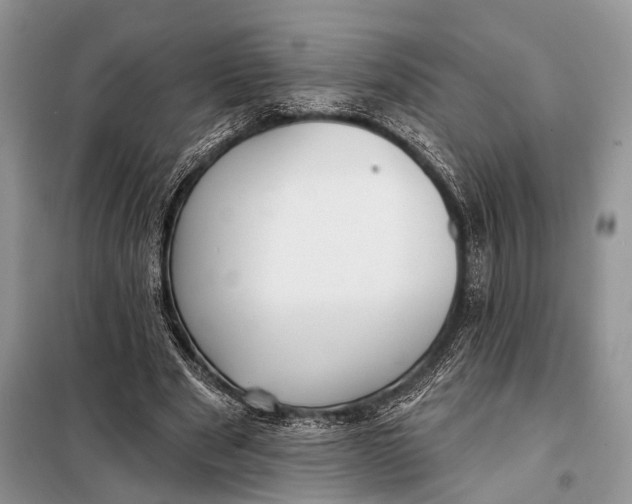 X0000098050489200804181327