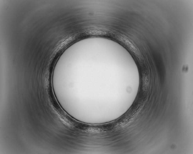 X0000098050490200804181327