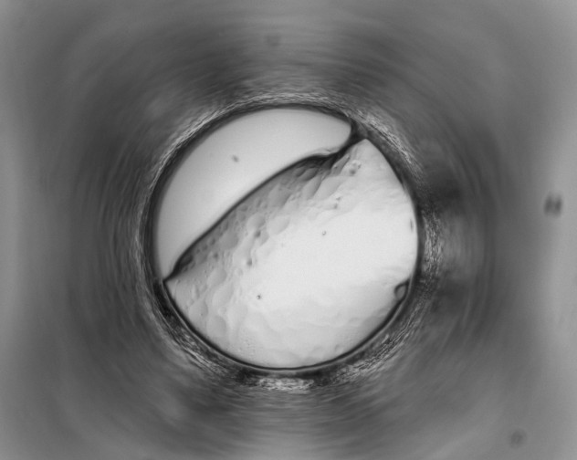 X0000098050491200804181327