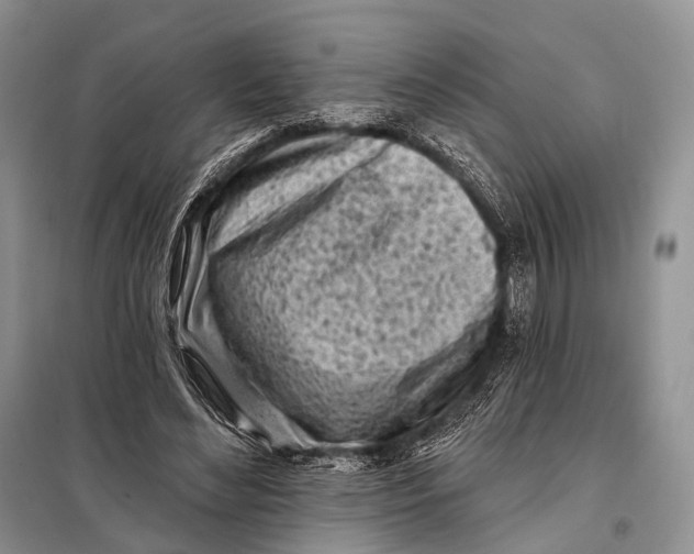 X0000098050492200804181327