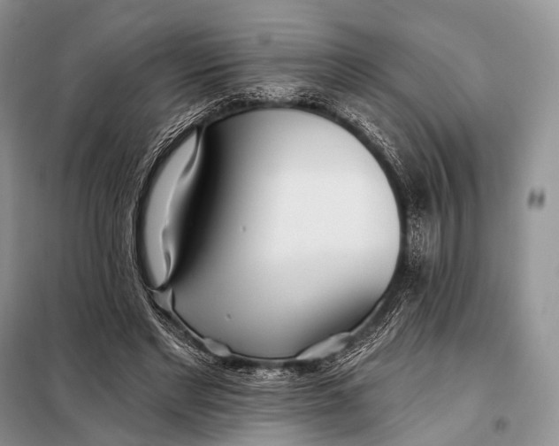 X0000098050493200804181327