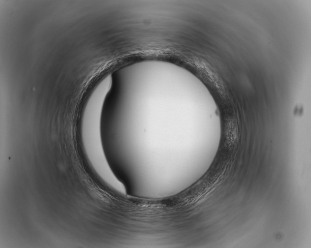 X0000098050495200804181327