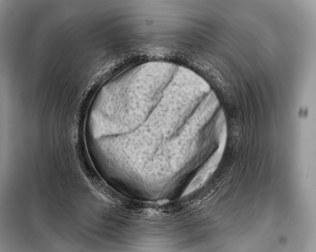 X0000098050496200804181327