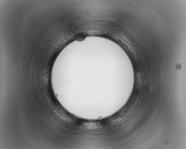 X0000098050499200804181327