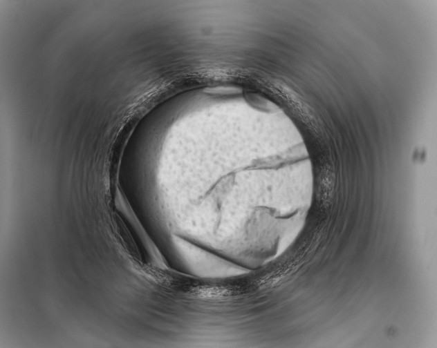 X0000098050500200804181327