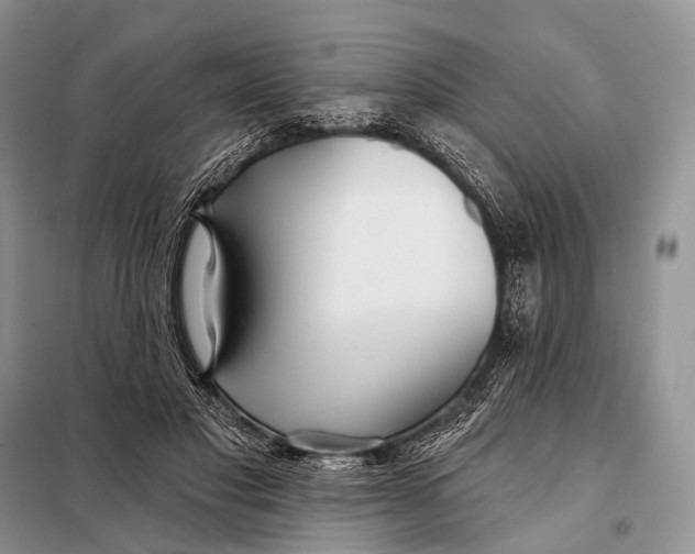 X0000098050501200804181327