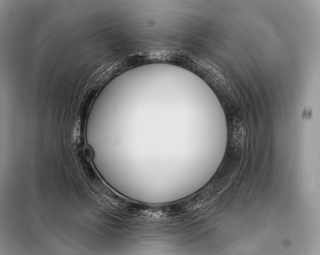 X0000098050502200804181327