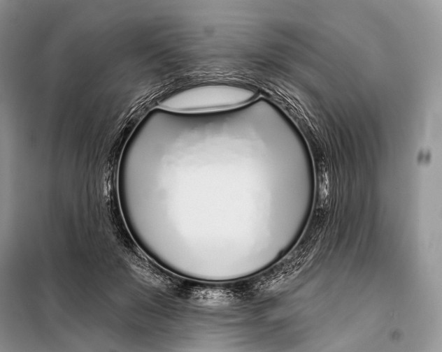 X0000098050503200804181327