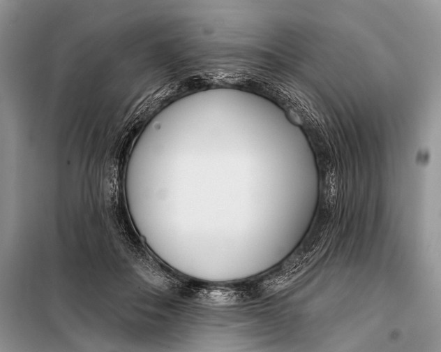 X0000098050506200804181327