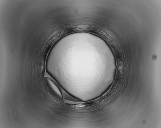 X0000098050507200804181327