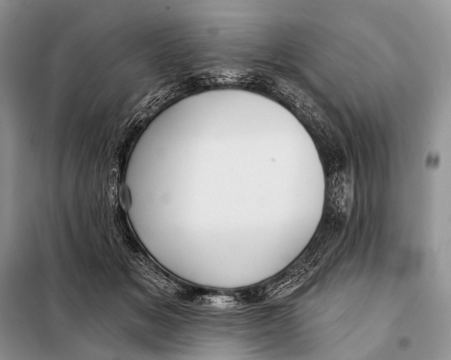 X0000098050509200804181327