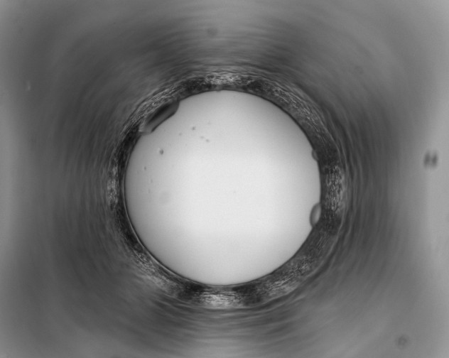 X0000098050510200804181327