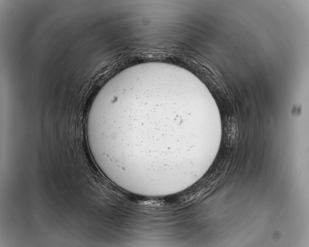 X0000098050511200804181327