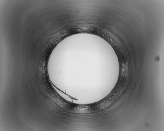 X0000098050514200804181327