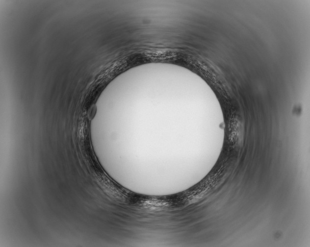 X0000098050515200804181327