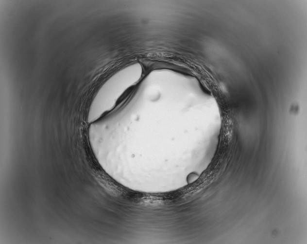 X0000098050519200804181327