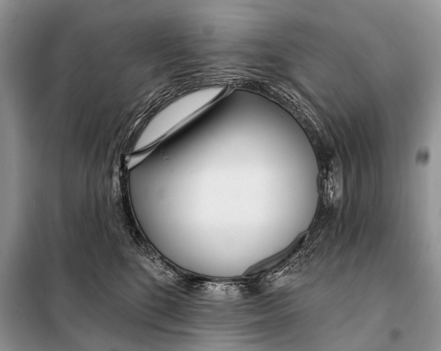 X0000098050520200804181327