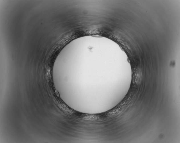 X0000098050521200804181327