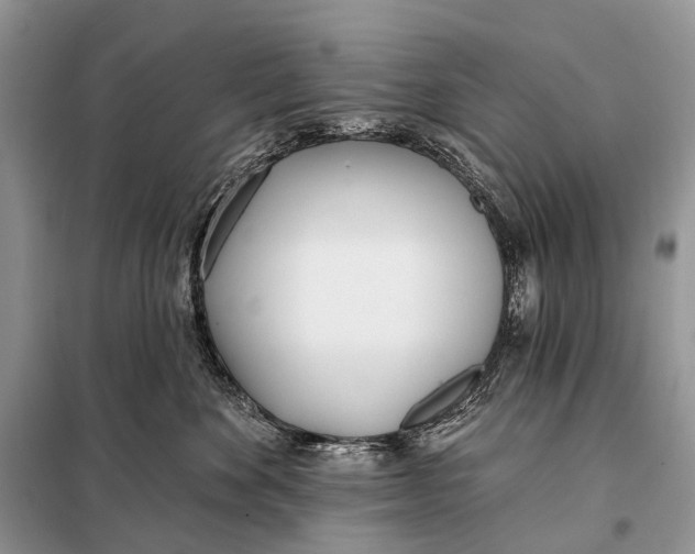 X0000098050524200804181327