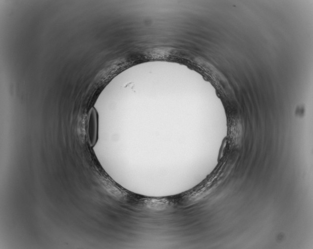 X0000098050525200804181327