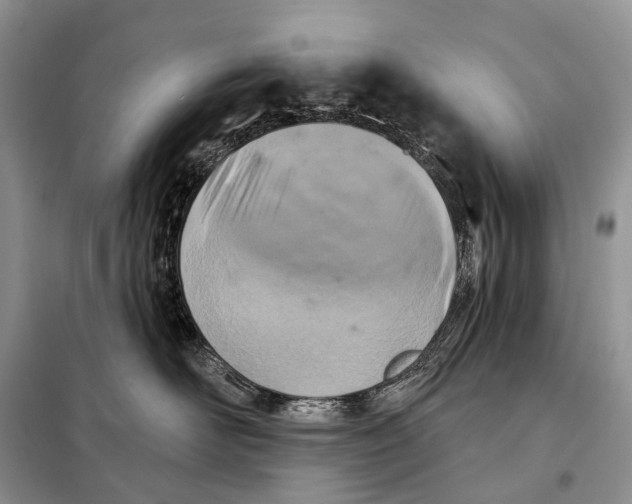 X0000098050526200804181327