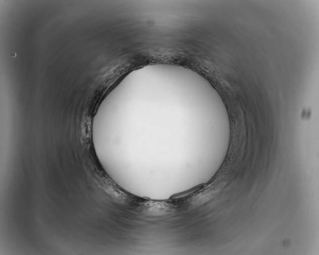 X0000098050528200804181327