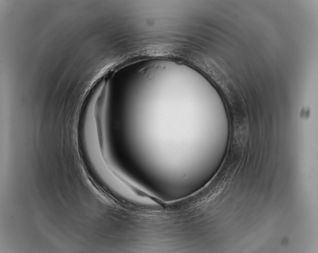 X0000098050530200804181326