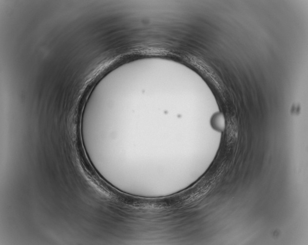 X0000098050533200804181326