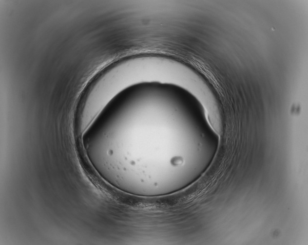 X0000098050534200804181326