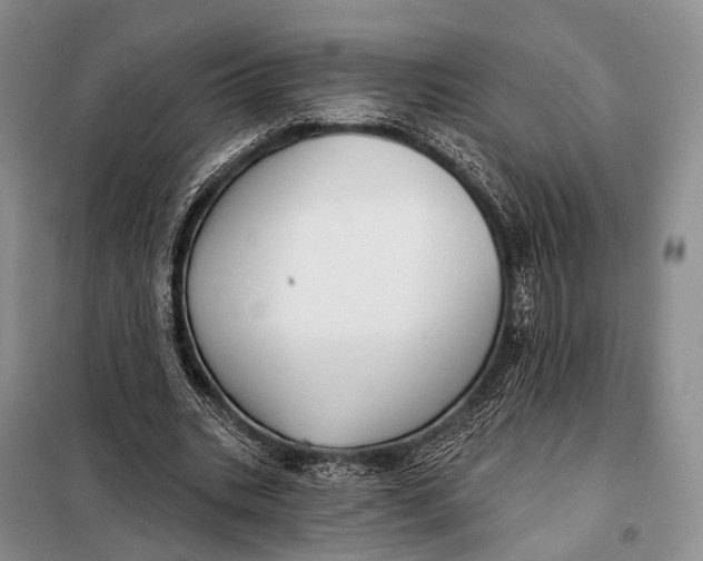 X0000098050535200804181326