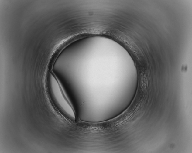 X0000098050536200804181326