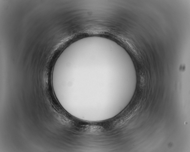 X0000098050539200804181326